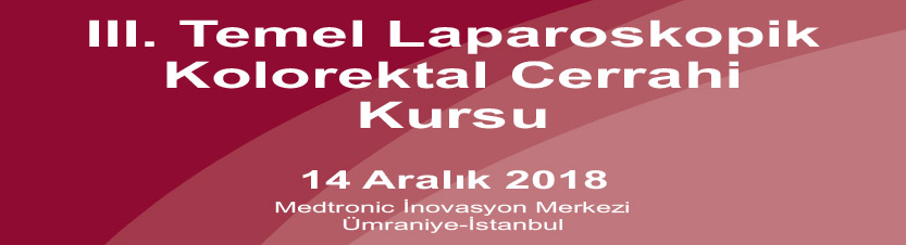 III. Temel Laparoskopik Kolorektal Cerrahi Kursu (Kontenjanımız Dolmuştur ! )