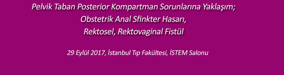 Pelvik Taban Posterior Kompartman Sorunlarına Yaklaşım;Obstetrik Anal Sfinkter Hasarı,Rektosel, Rektovaginal Fistül