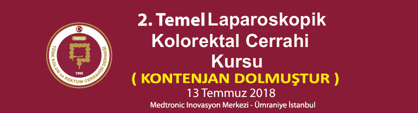 2. Temel Laparoskopik Kolorektal Cerrahi Kursu (Kontenjan Dolmuştur)