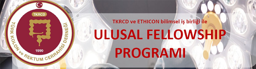 Ulusal Fellowship Programı