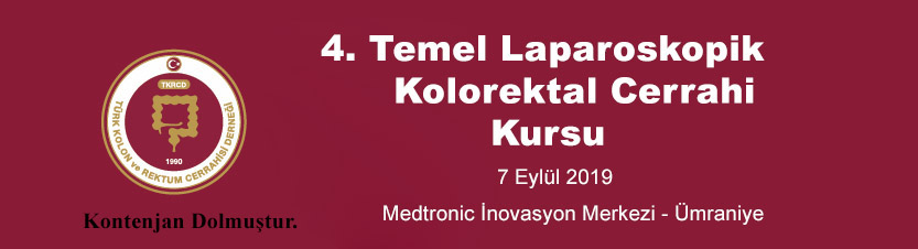 4. Temel Laparoskopik Kolorektal Cerrahi Kursu