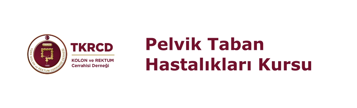 1st: Course on Pelvic Floor Disorders