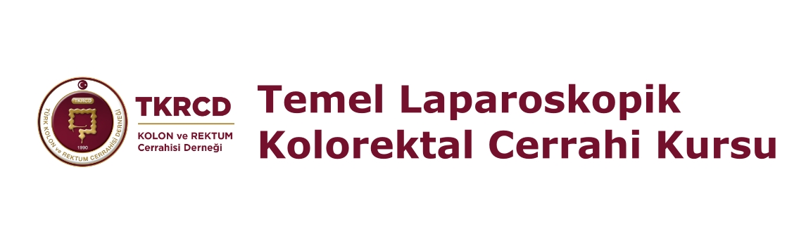 5. Temel Laparoskopik Kolorektal Cerrahi Kursu 5. Temel Laparoskopik Kolorektal Cerrahi Kursu
