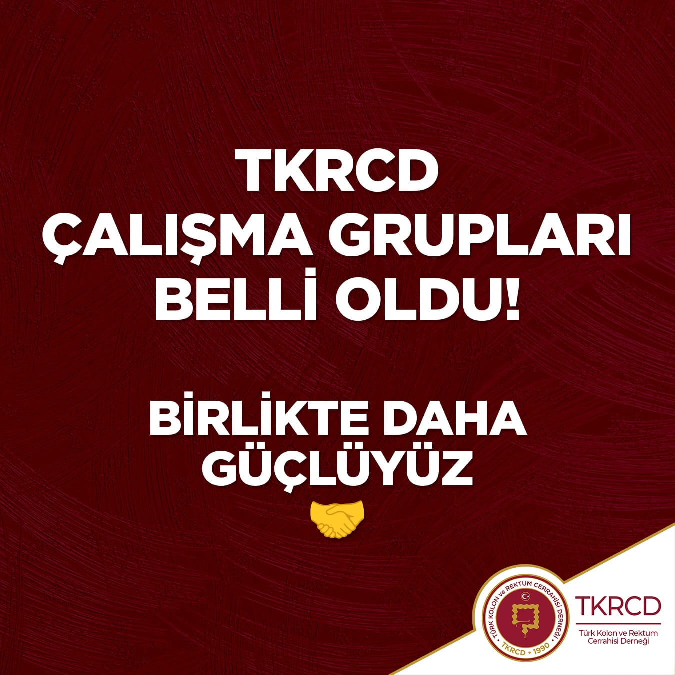 TKRCD Çalışma Grupları (2026-2028)
